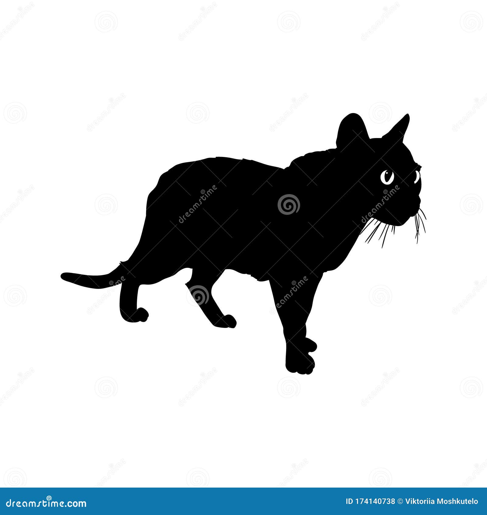 23+ Silhouette Black Cat Walking Pics