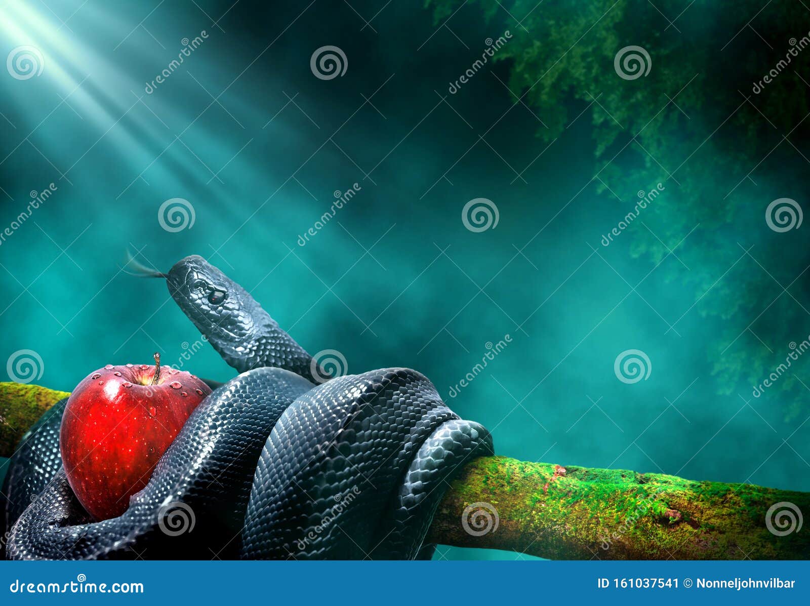 black snake with an apple fruit in a branch of a tree