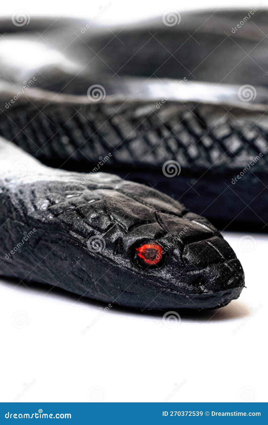 Black Snake Toy Isolated on White Background Stock Image - Image of