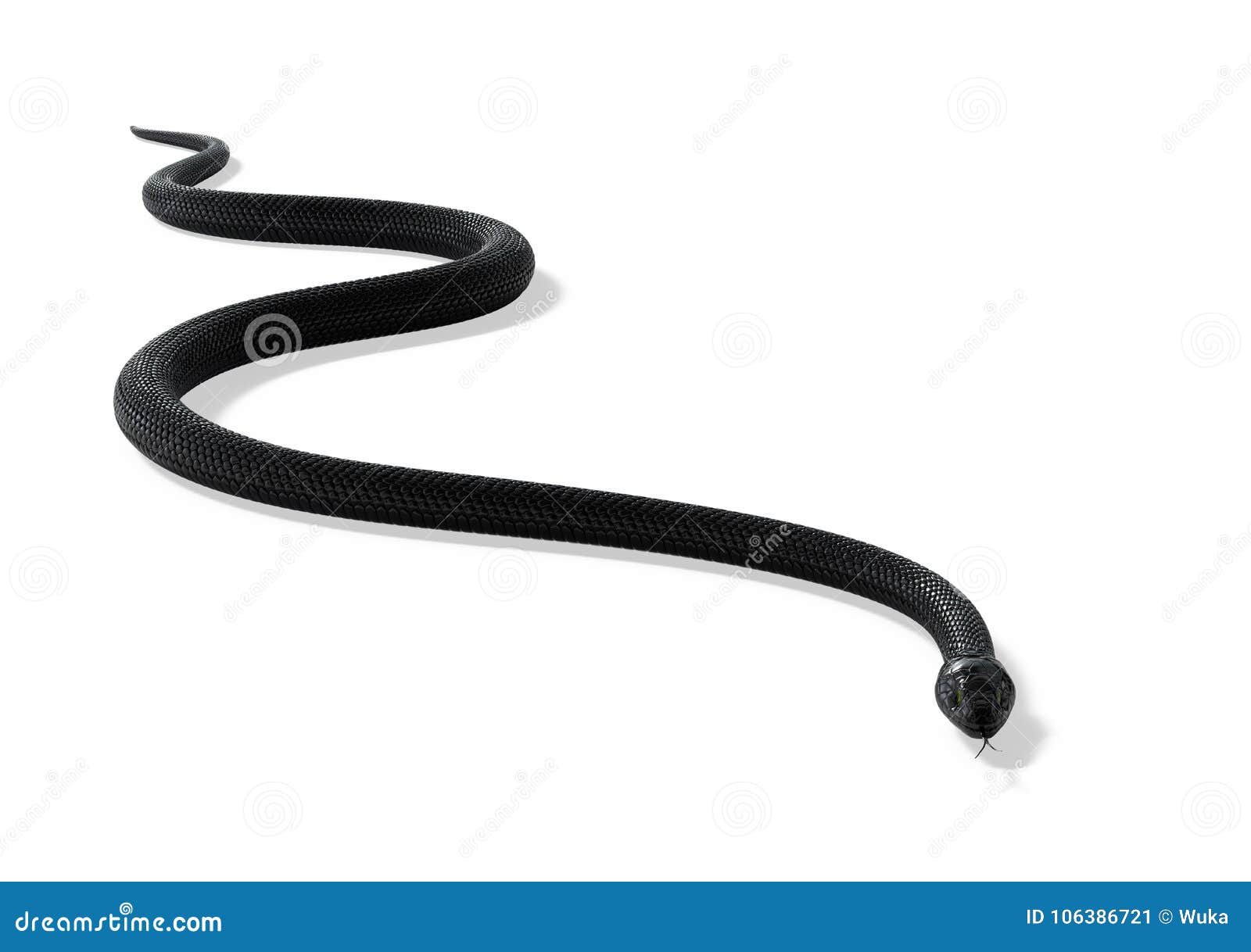 3d Snake, Gradient Snake, Large Pythons, Snake PNG Transparent Clipart  Image and PSD File for Free Download