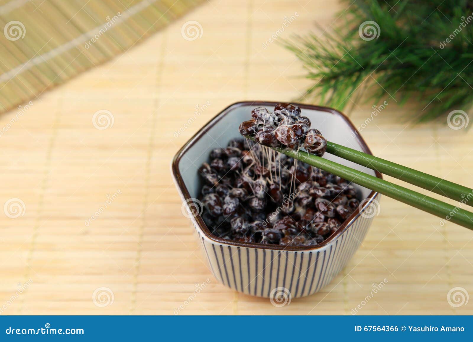 Black soybean natto stock photo. Image of closeup, healthy 67564366