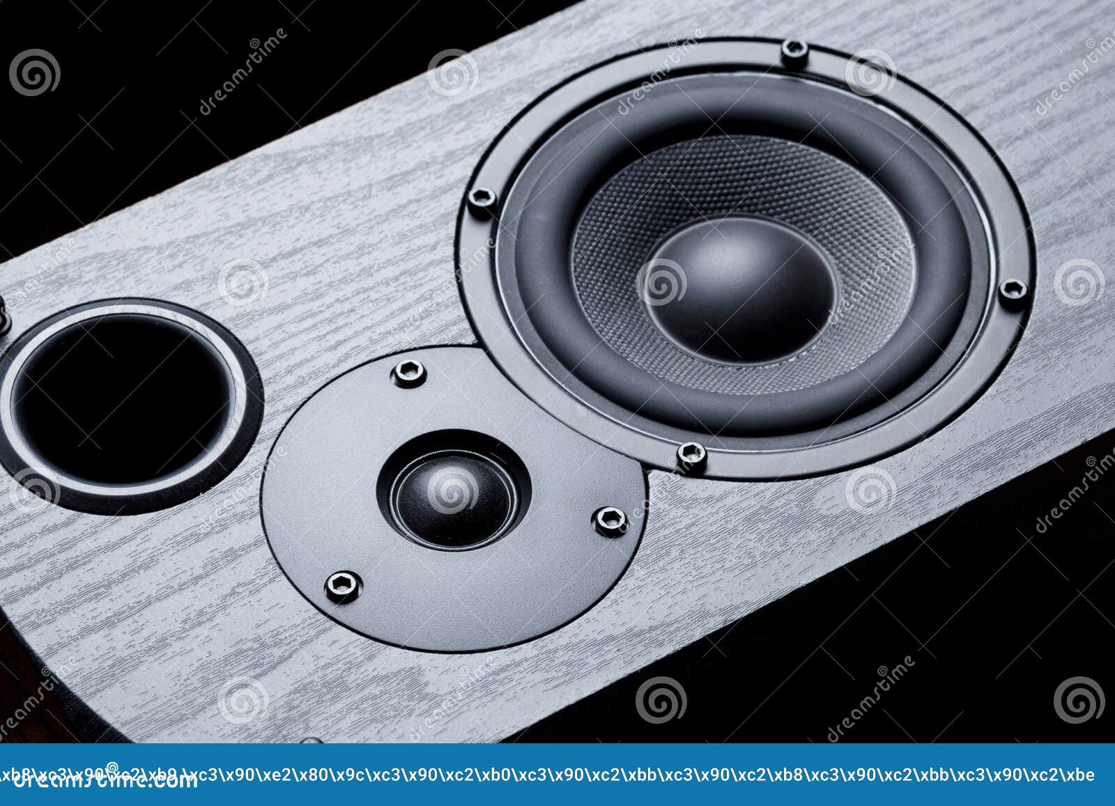 the bass and the speakers