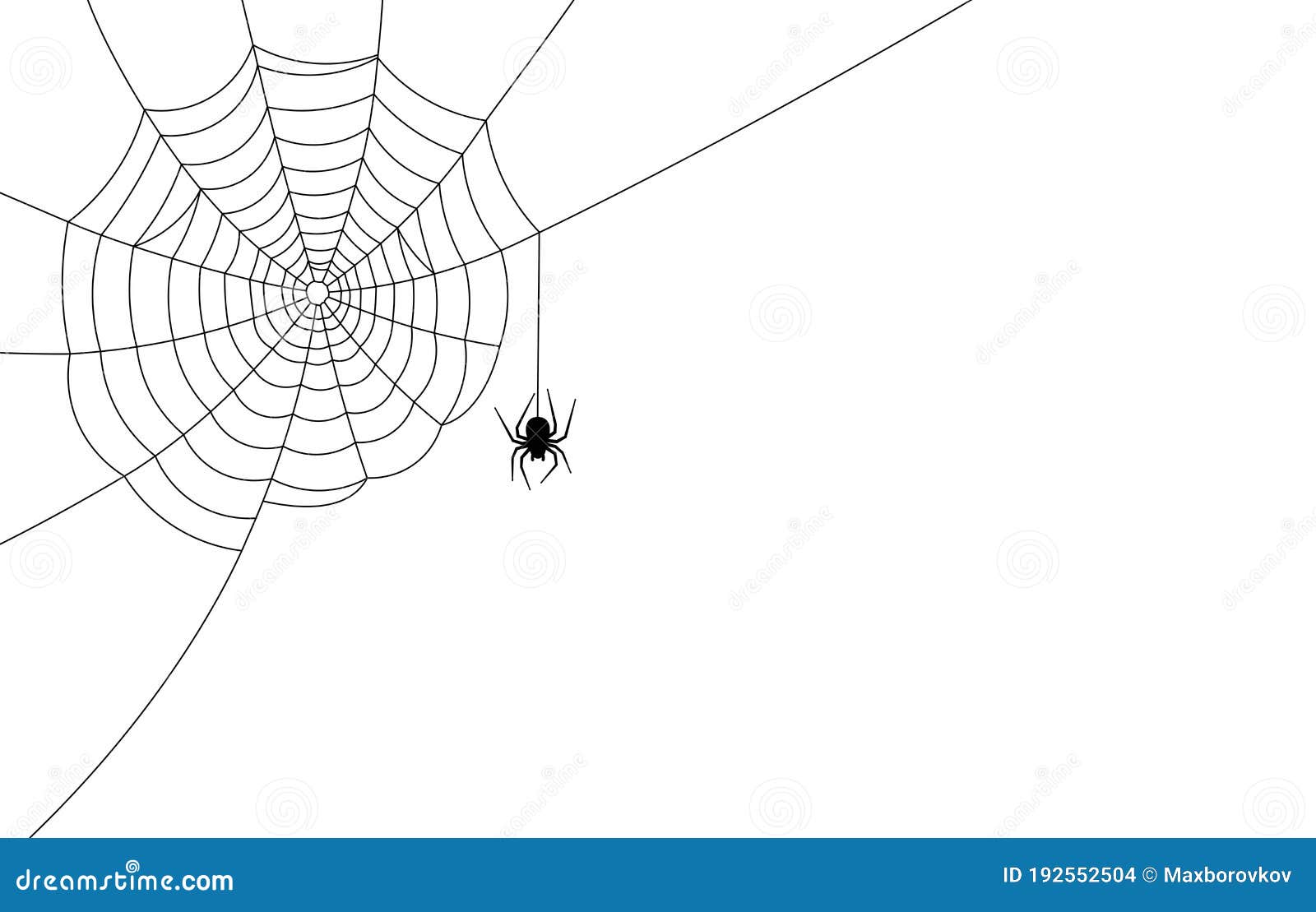 spider hanging from a web wallpaper spider hanging from a web wallpaper