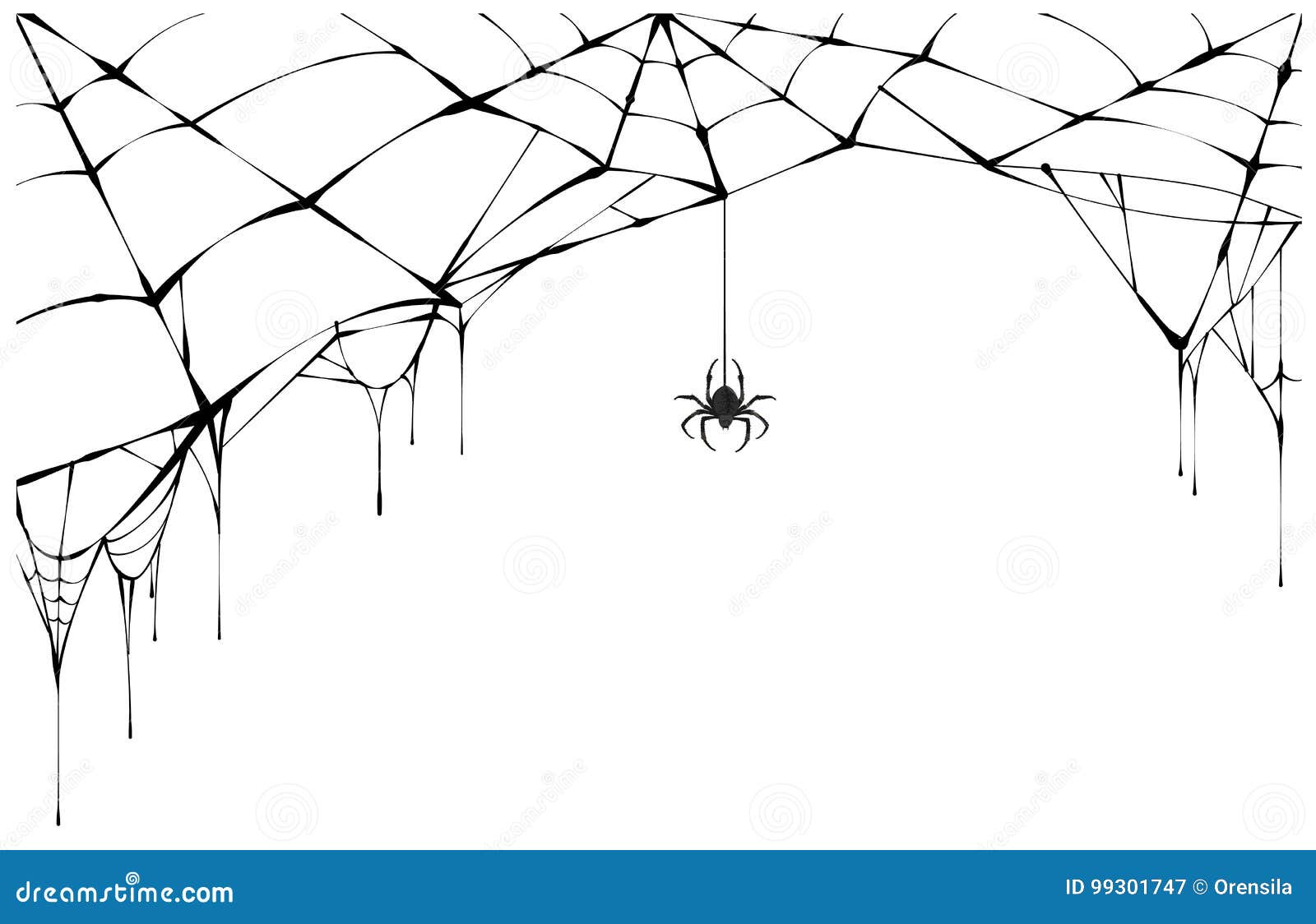 black spider and torn web. scary spiderweb of halloween 