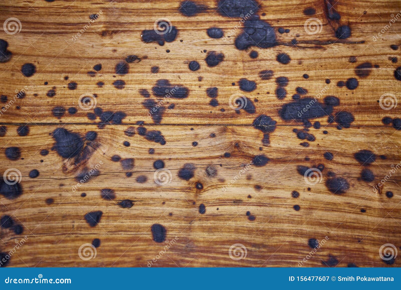 Texture of Wooden Burned Table Stock Image Image of natural, burn