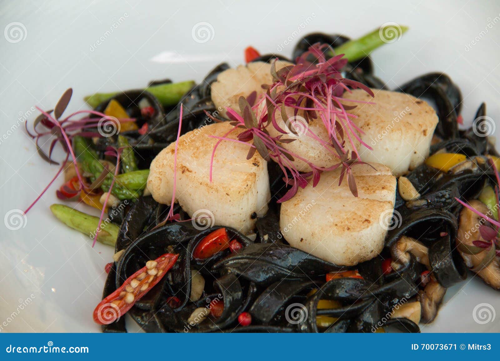 Black Squid Ink Pasta is Paired with Scallops Stock Image Image of