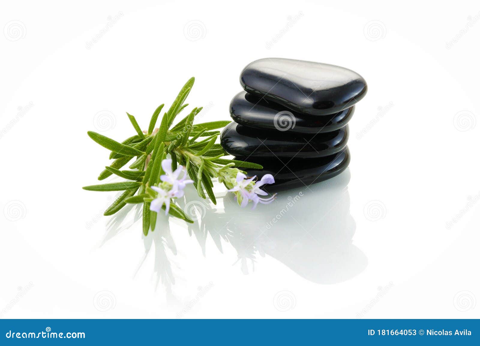 black stones and sprig of rosemary