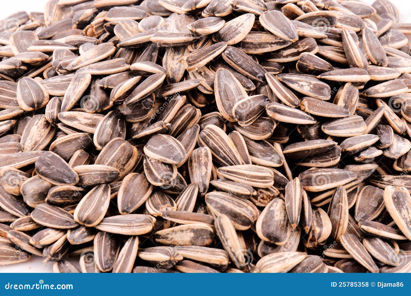 Black sunflower seed stock photo. Image of diet, nutrition 25785358