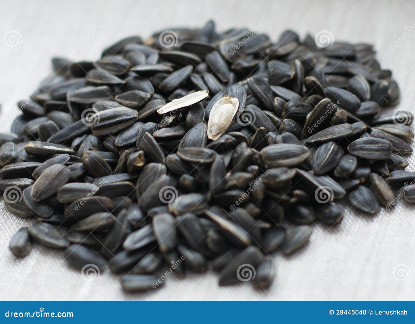 Black sunflower seeds stock photo. Image of agriculture 28445040