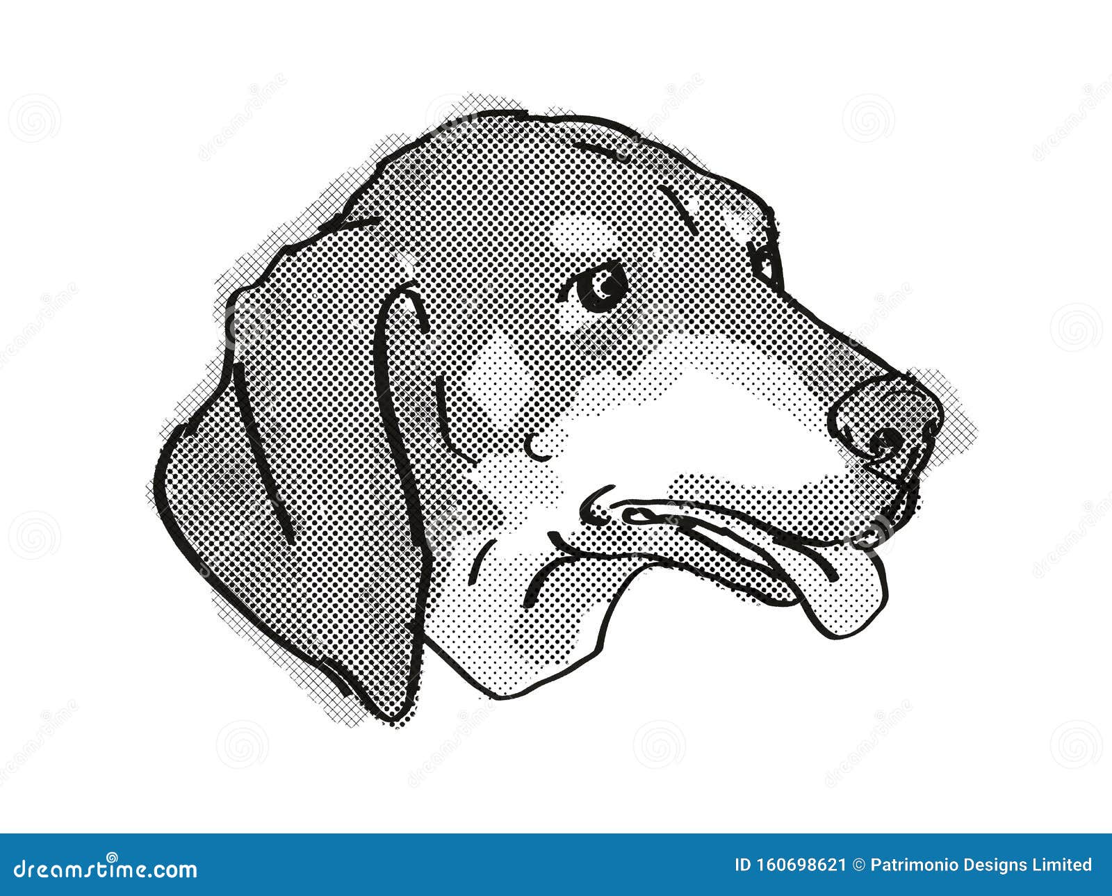 Black Coonhound Tan Stock Illustrations 32 Black Coonhound Tan Stock Illustrations Vectors Clipart Dreamstime
