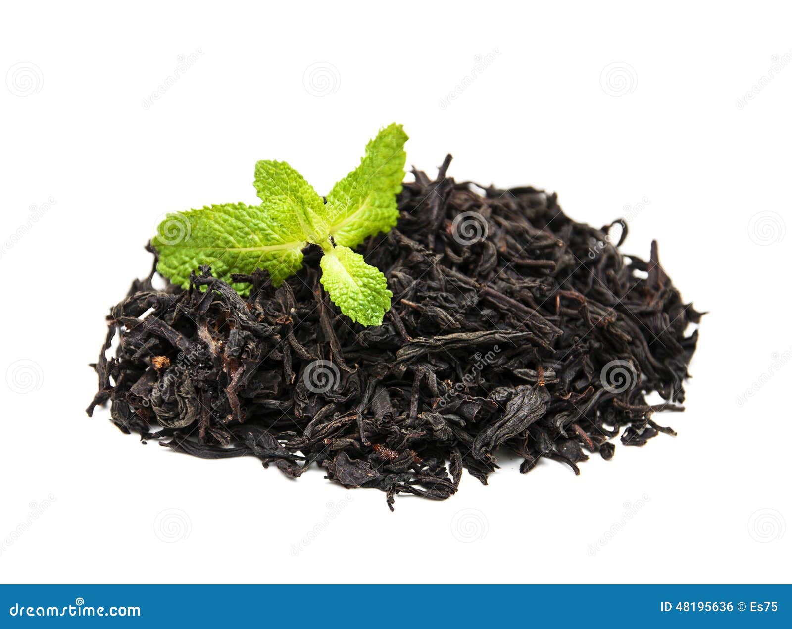 Black tea with mint leaf stock photo. Image of lifestyle 48195636