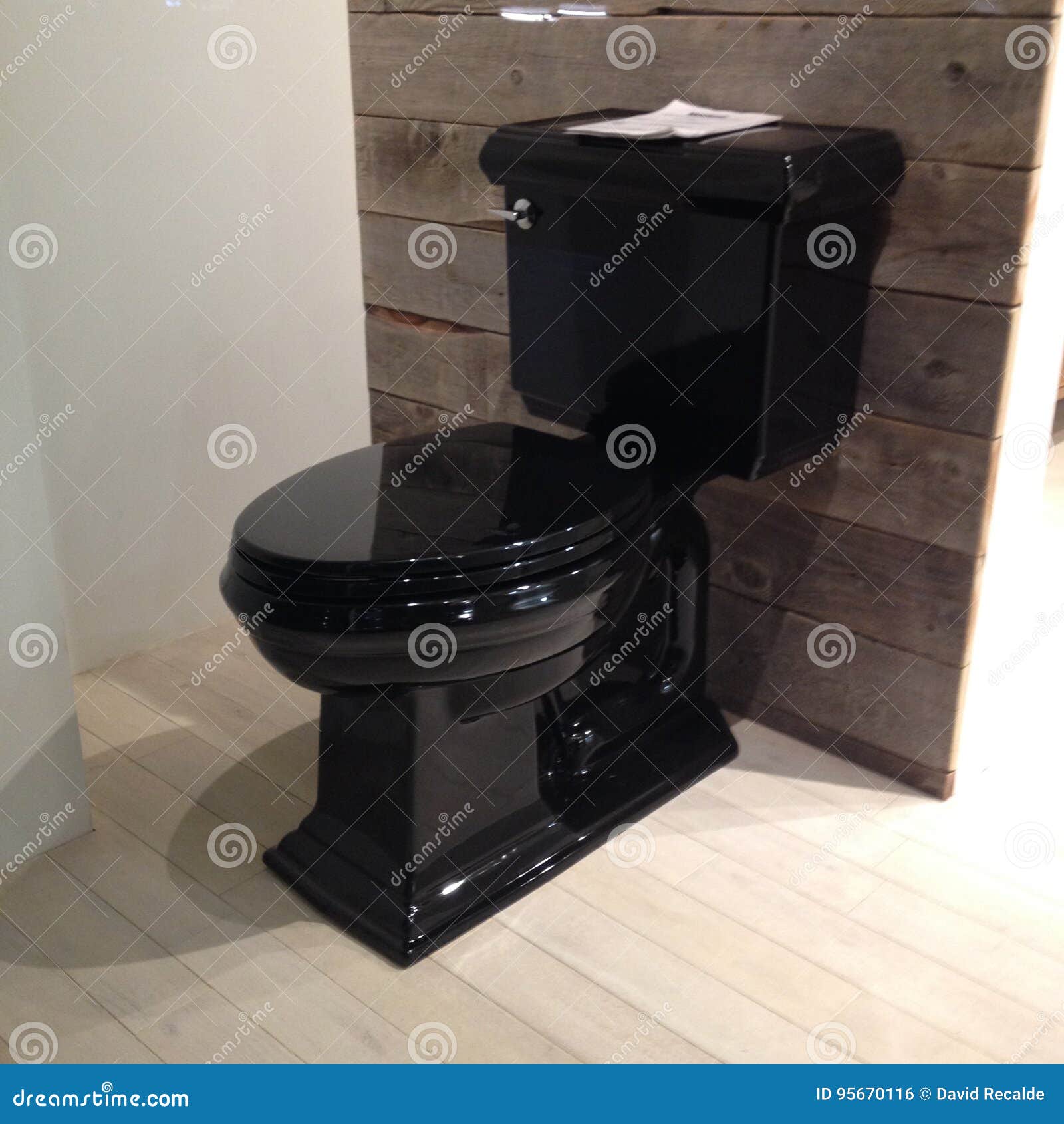 Japanese Toilet RoyaltyFree Stock Image 241750264