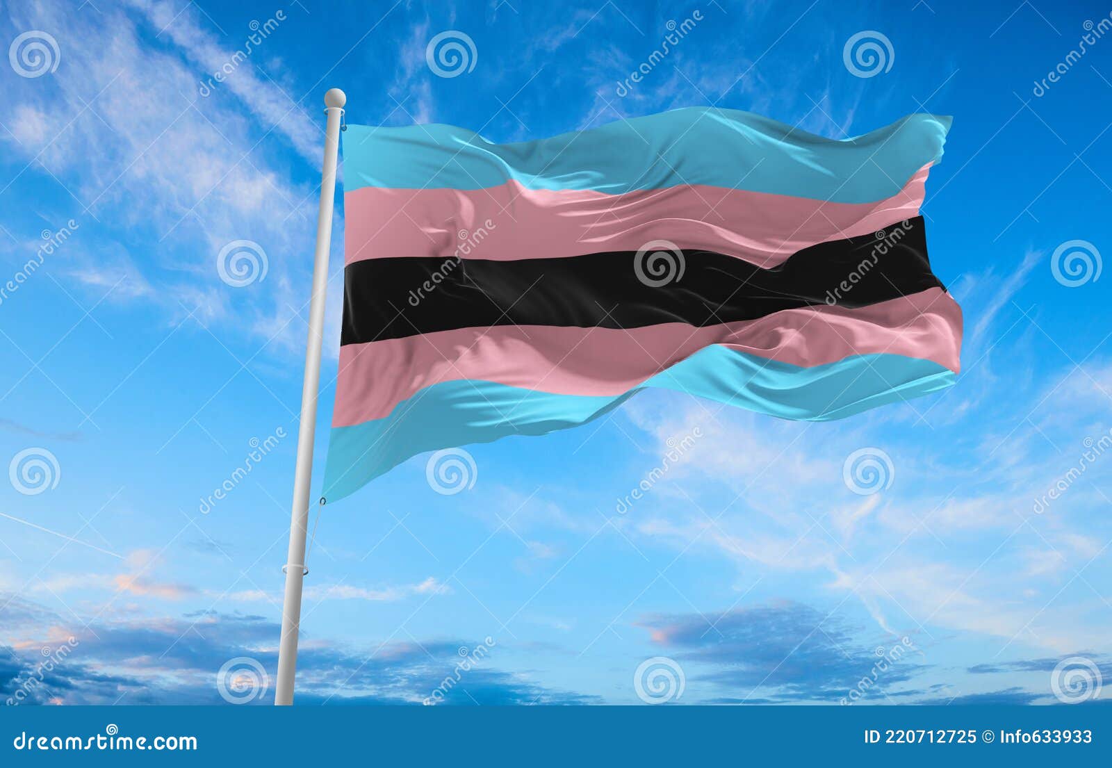 Trans flag