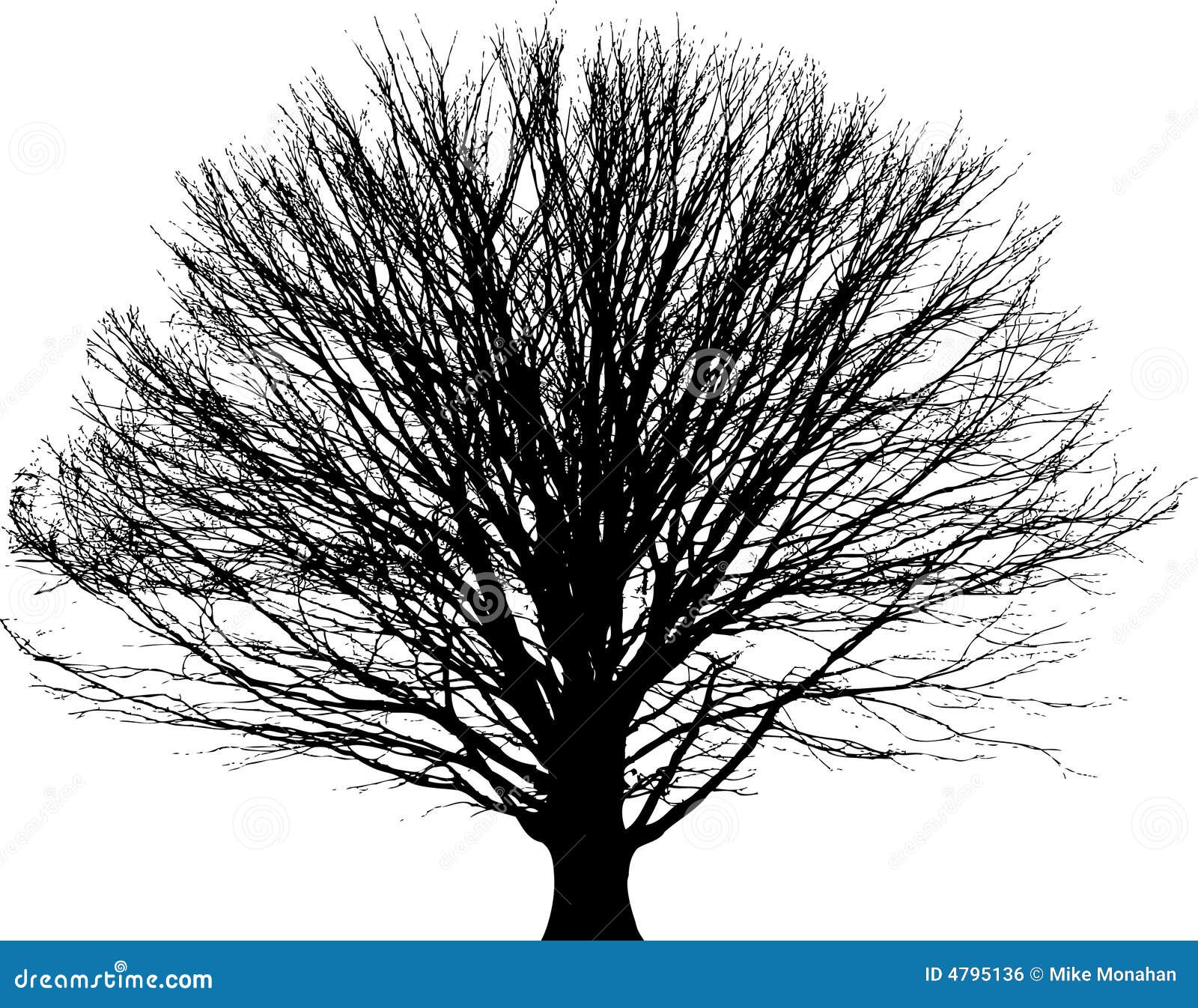 Black Tree Background Royalty Free Stock Image - Image: 4795136