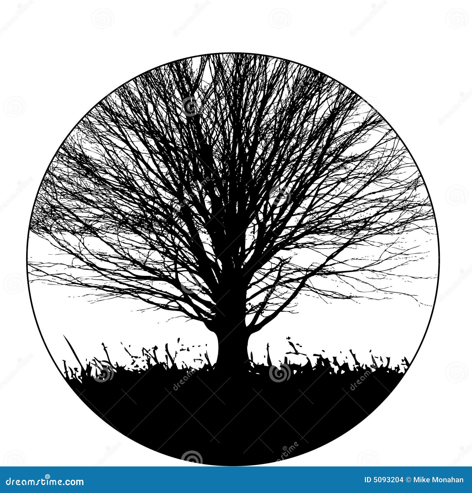 Most Recommended Black Background Tree Images