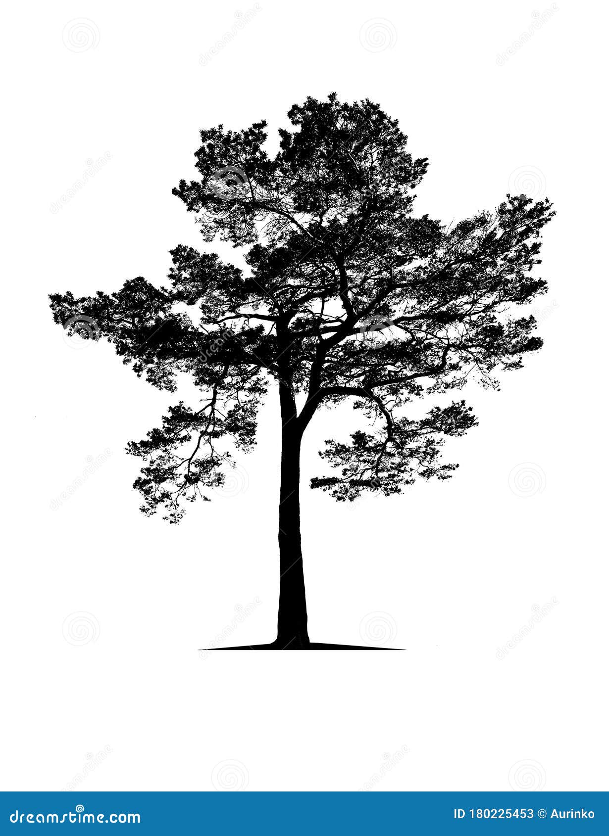 Black Tree Isolated on White Stock Image Image of growing, botany
