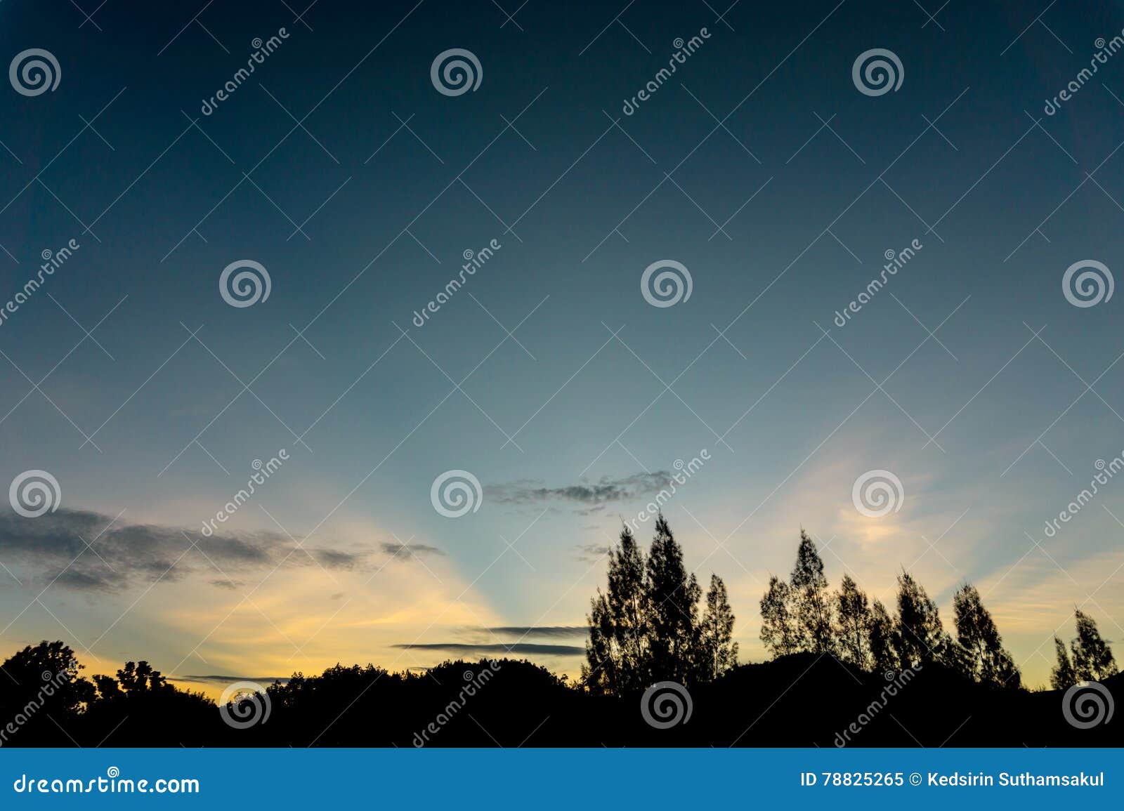 Black Tree Silhouette and Sunset Sky Background Stock Image - Image of