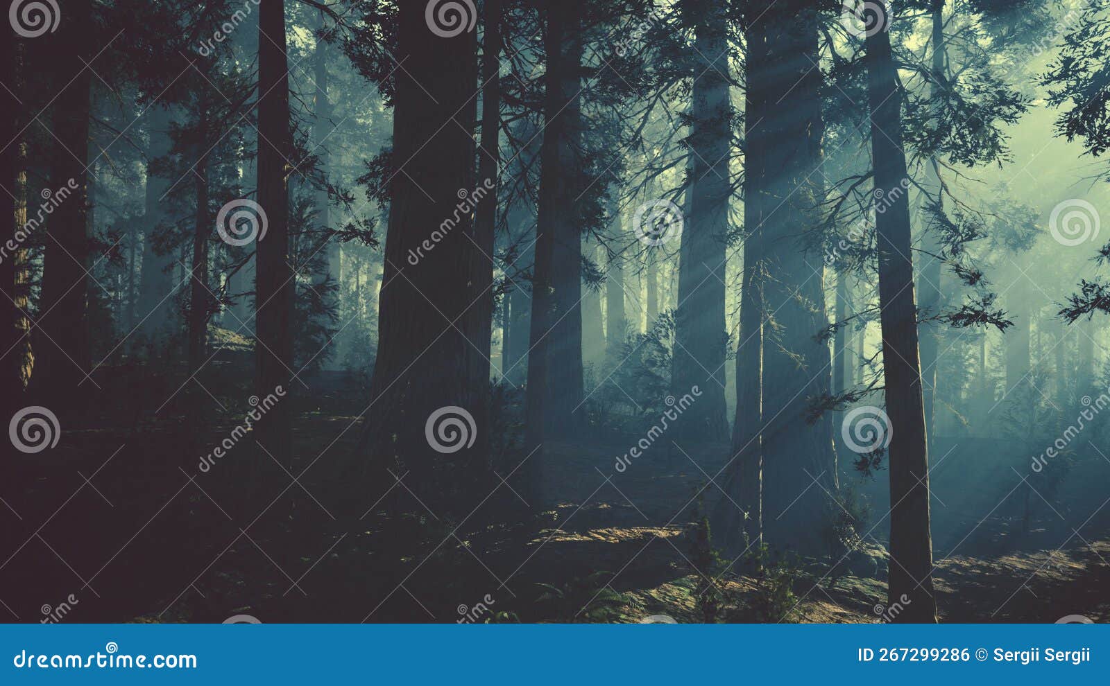 Black Tree Trunk in a Dark Pine Tree Forest Stock Photo - Image of evil