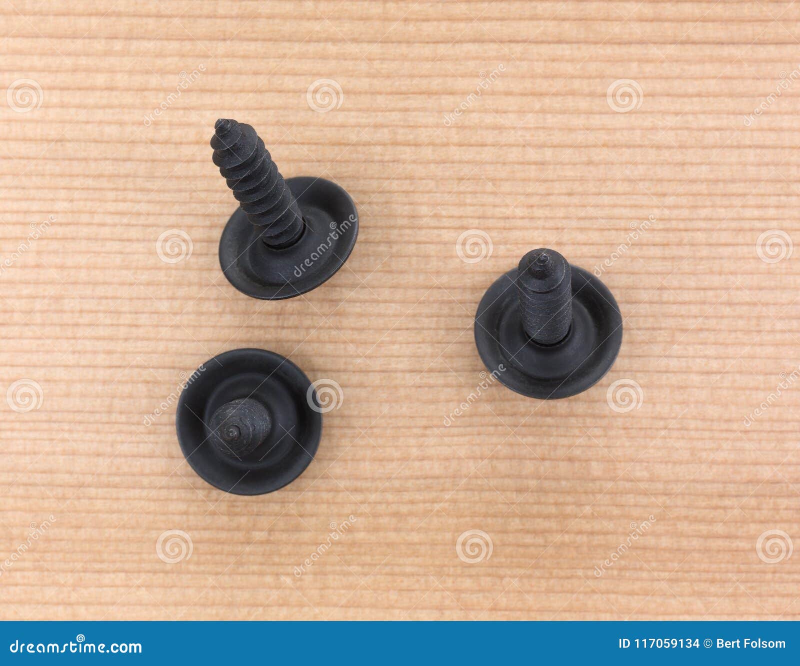 Black Trim Head Screws on a Board Stock Photo Image of threaded
