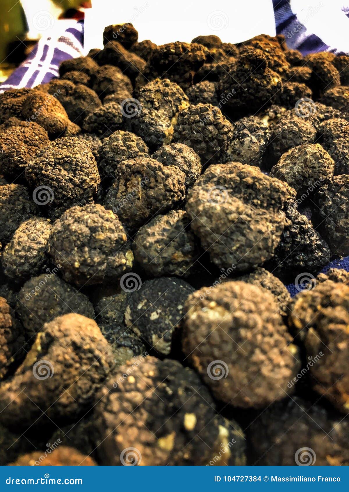 Black truffle stock photo. Image of alba, truffle, black 104727384
