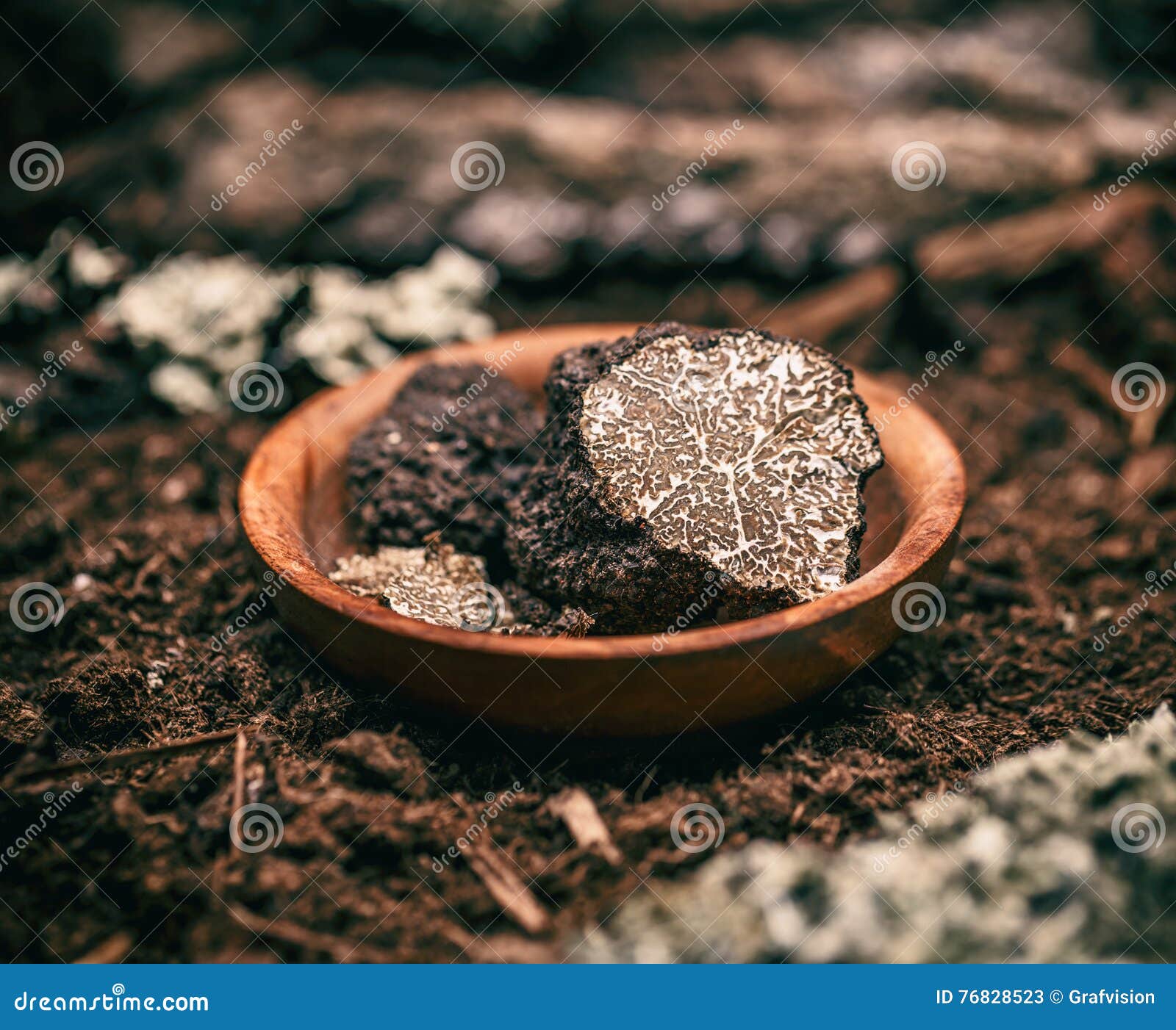 Black truffle mushroom stock image. Image of truffle 76828523