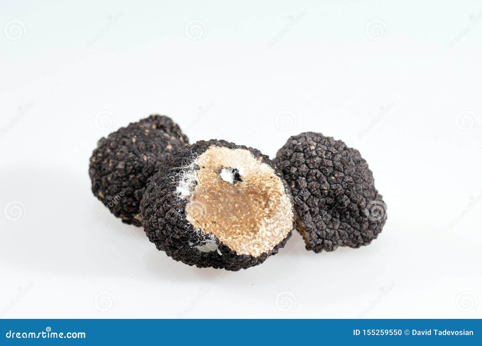 Black Truffles Isolated on a White Background Stock Photo Image of