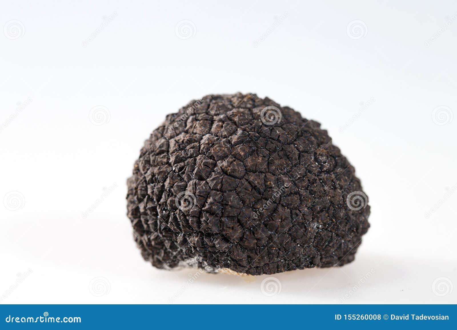 Black Truffles Isolated on a White Background. Stock Photo Image of