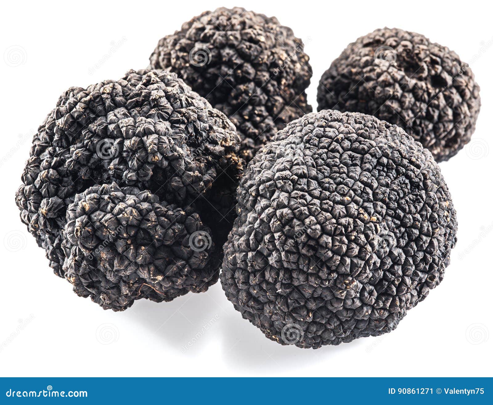 Black Truffles Isolated on a White. Stock Image Image of brown
