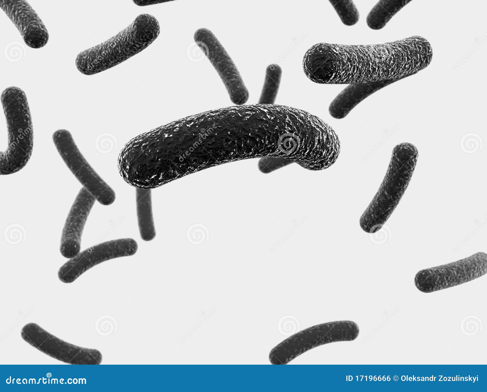 Black Tubular Bacteria Royalty Free Stock Image Image 17196666