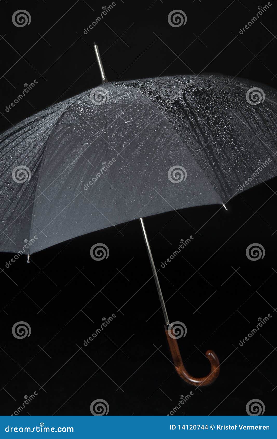 Black umbrella stock photo. Image of winter, umbrella 14120744