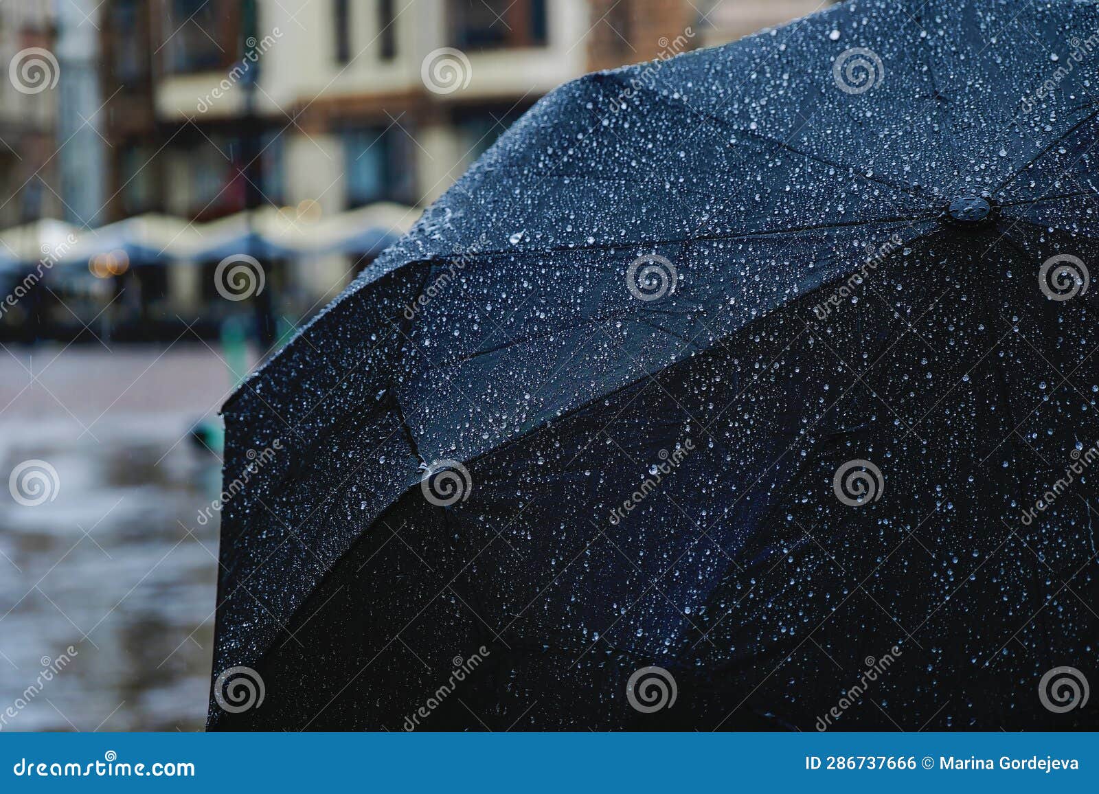 Black Umbrella in the Rain. the Entire Surface of the Umbrella in