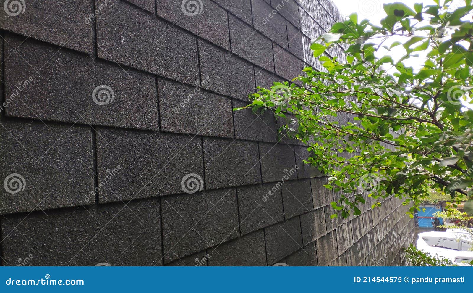 Black wall of the house stock image. Image of wall, green 214544575