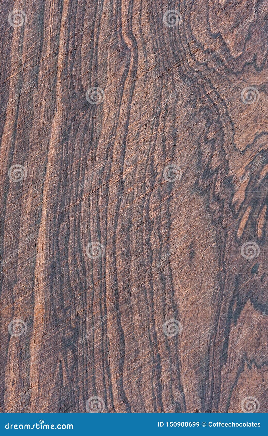 Black walnut tree wood stock image. Image of board, timber 150900699