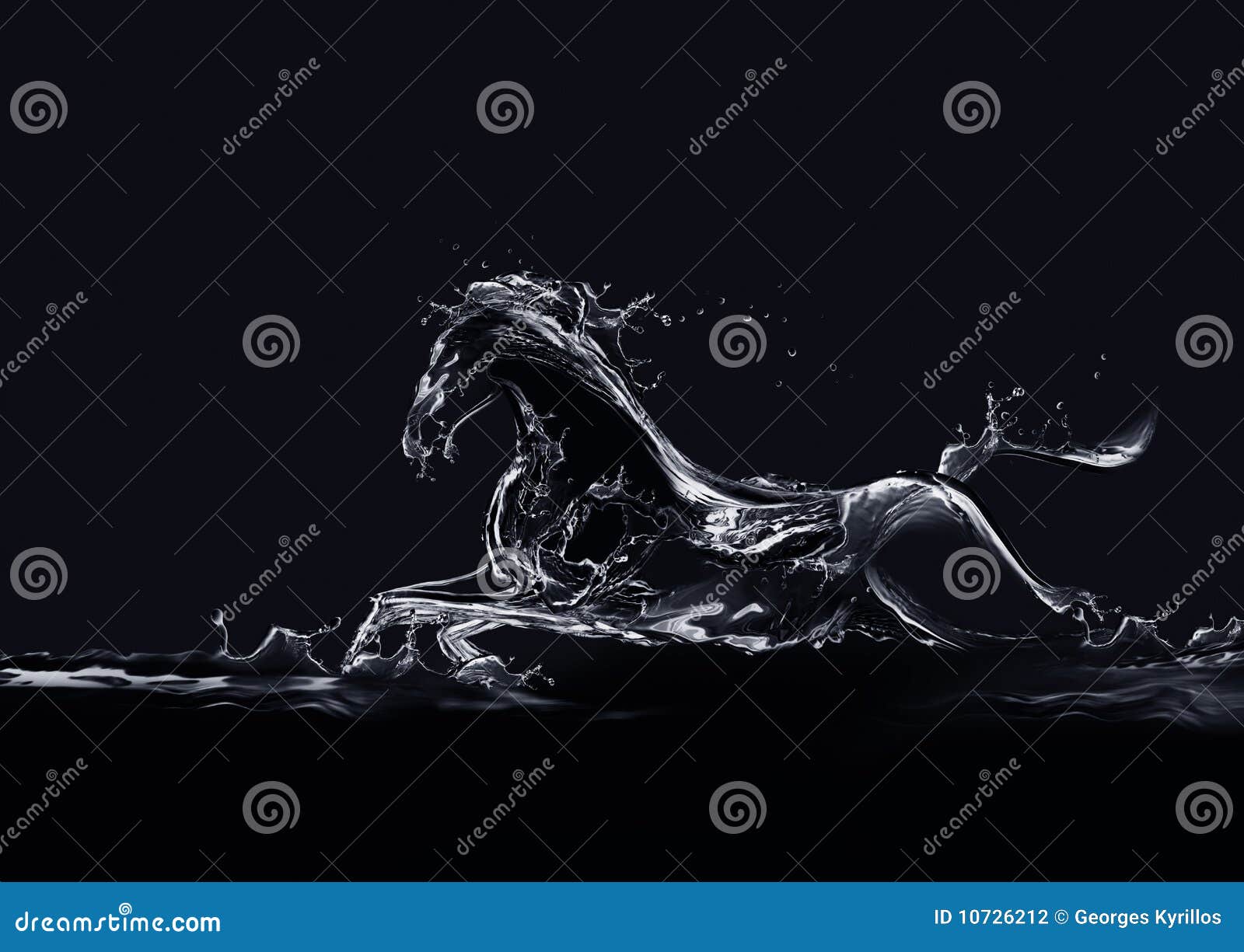 Black Water Horse stock photo. Image of action, nature 10726212