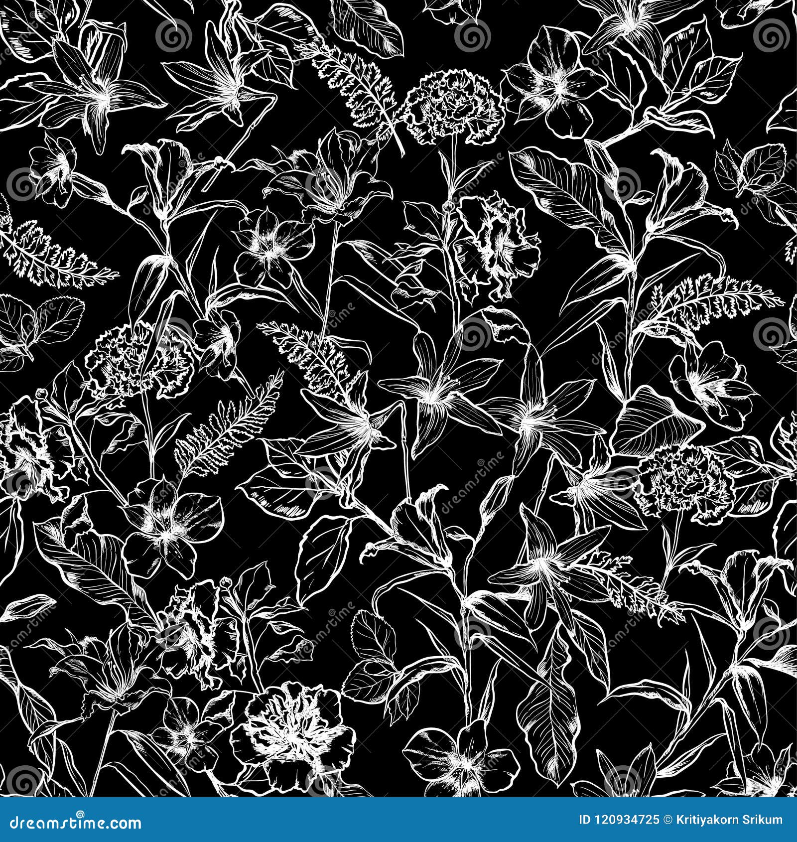 Black And White Botanical Wallpaper - Life Styles