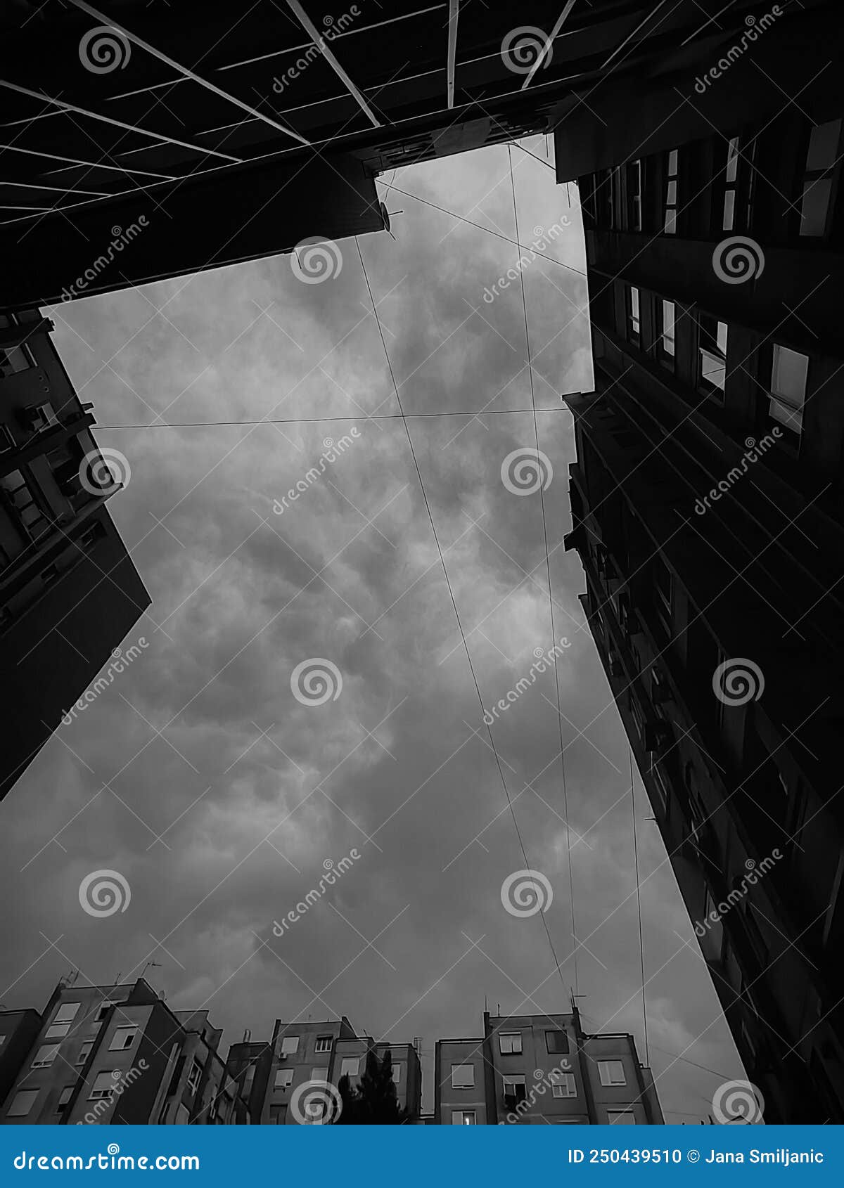 black and white buildings street life