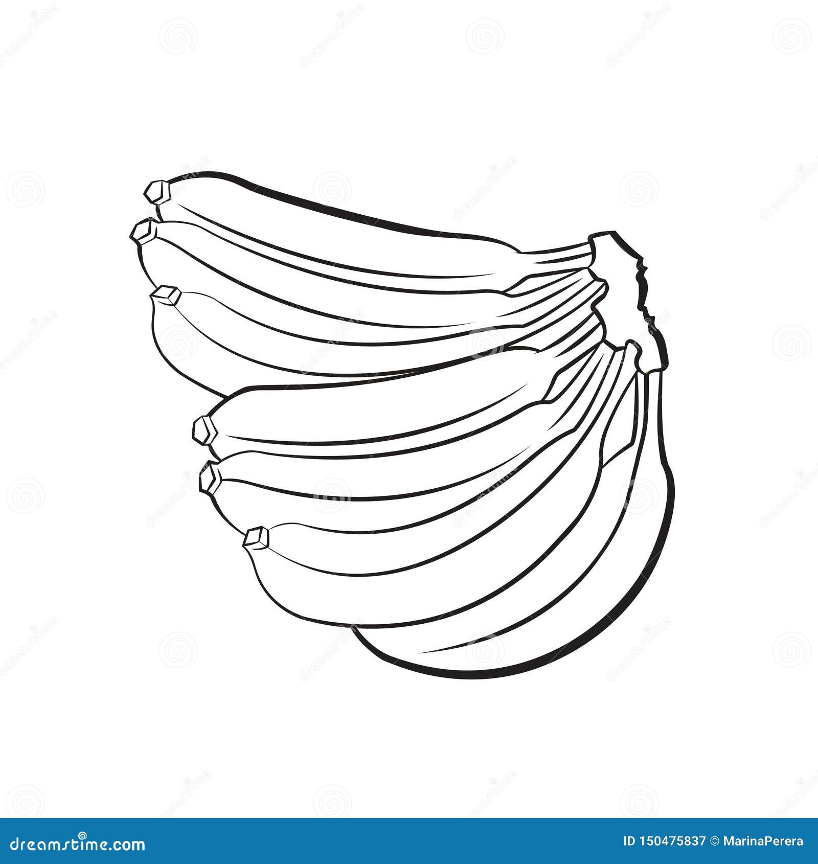 Black And White Bunch Of Banana Stock Vector Illustration of fresh