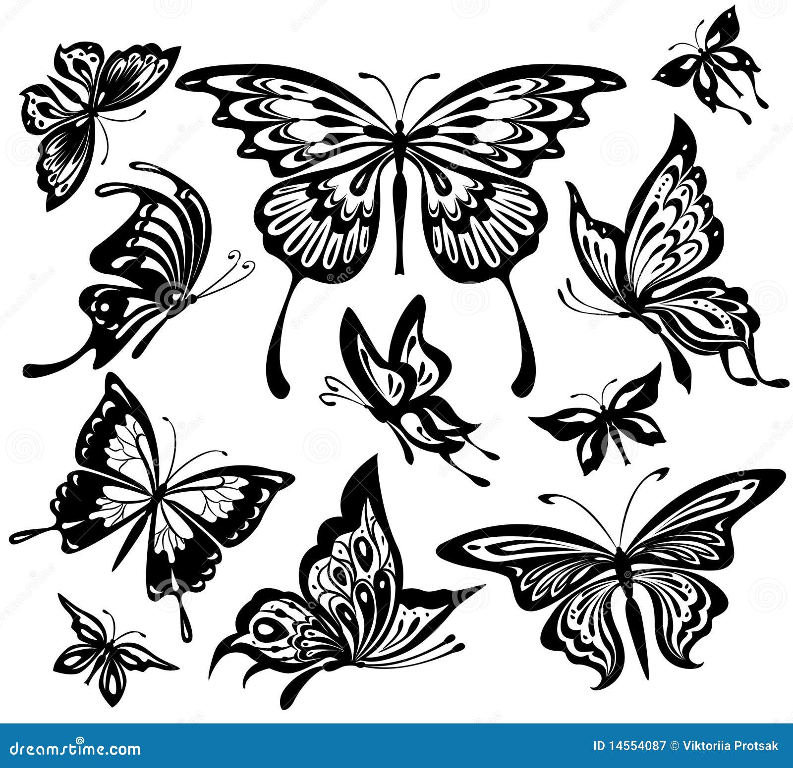 Download Black And White Butterflies Stock Vector - Illustration of ...