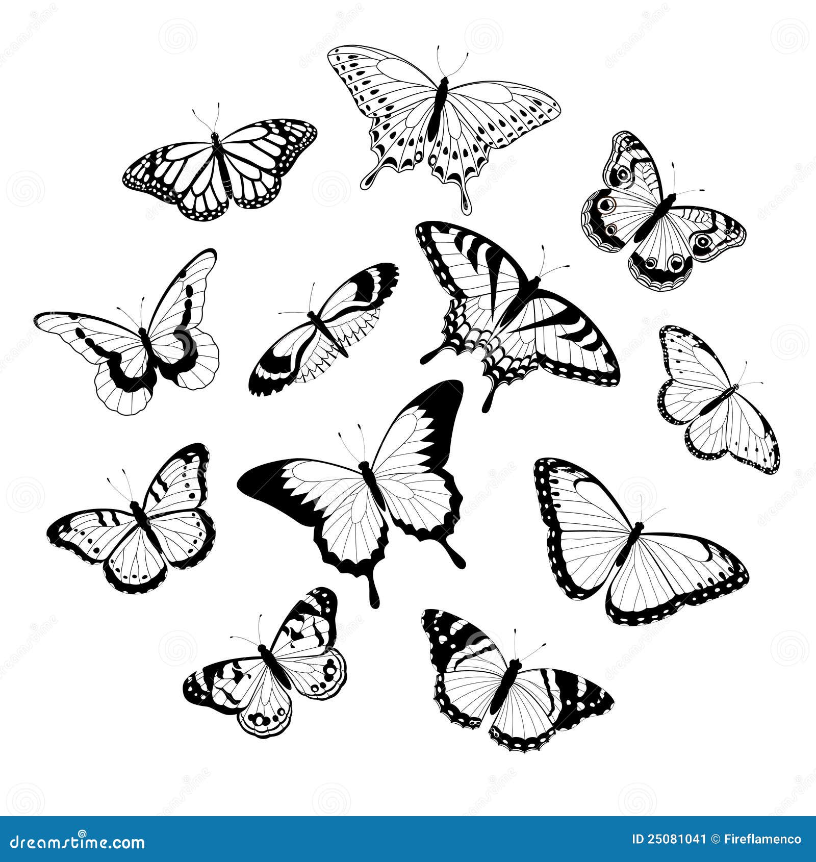 black and white butterflies