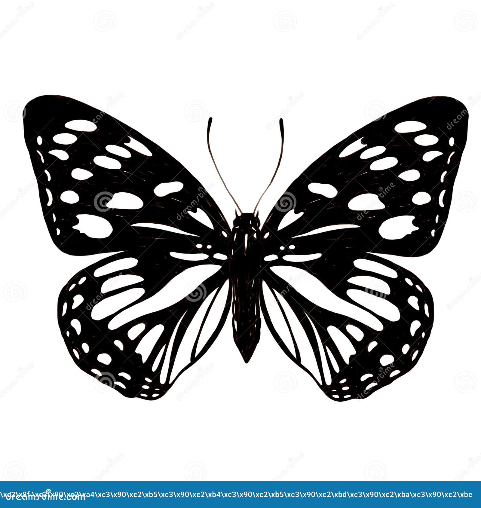 Black and White Butterfly Wallpaper  Monochrome Butterflies Mural   Happywall