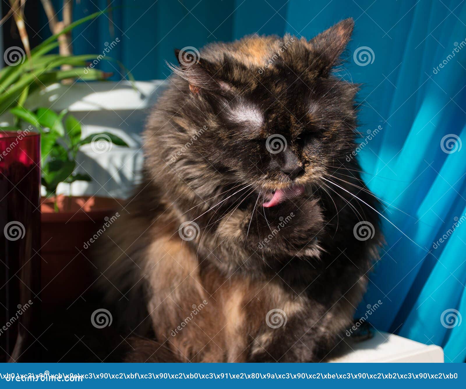 My Image 22