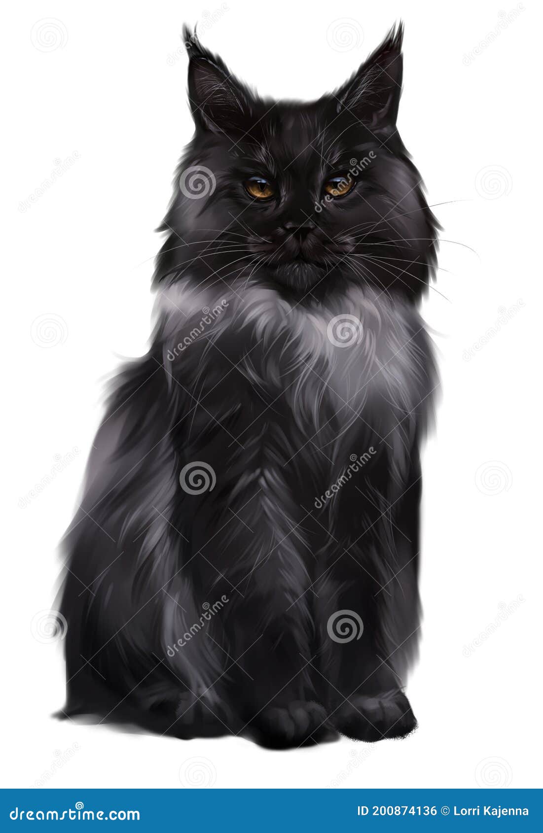 Maine Coon Drawing by Alexander Potekhin  Pixels