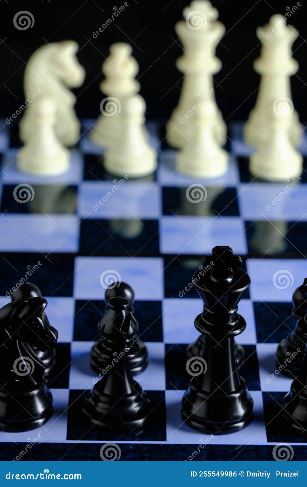 Black and White Chess Pieces on Chess Board Stock Photo Image of