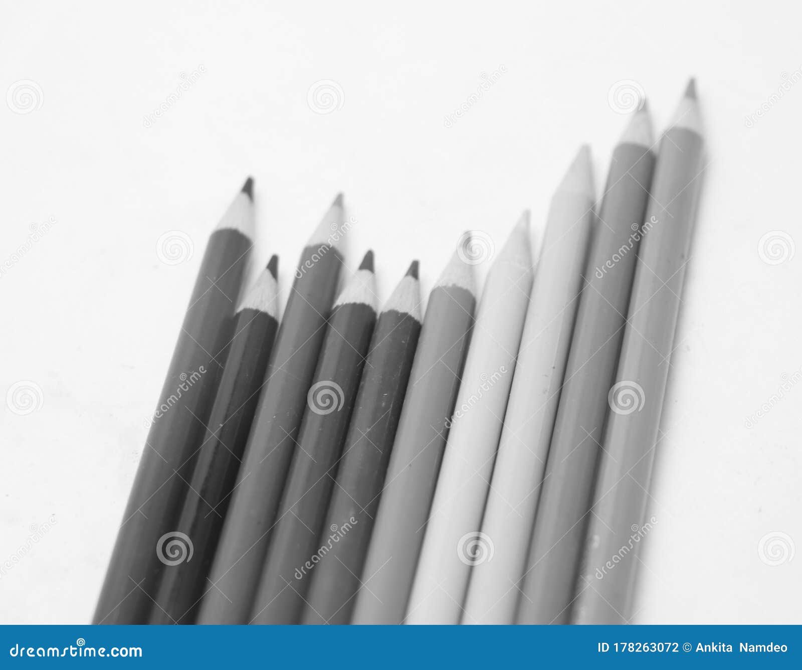 Black and White Color Collection of Pencil Stock Photo Image of signs