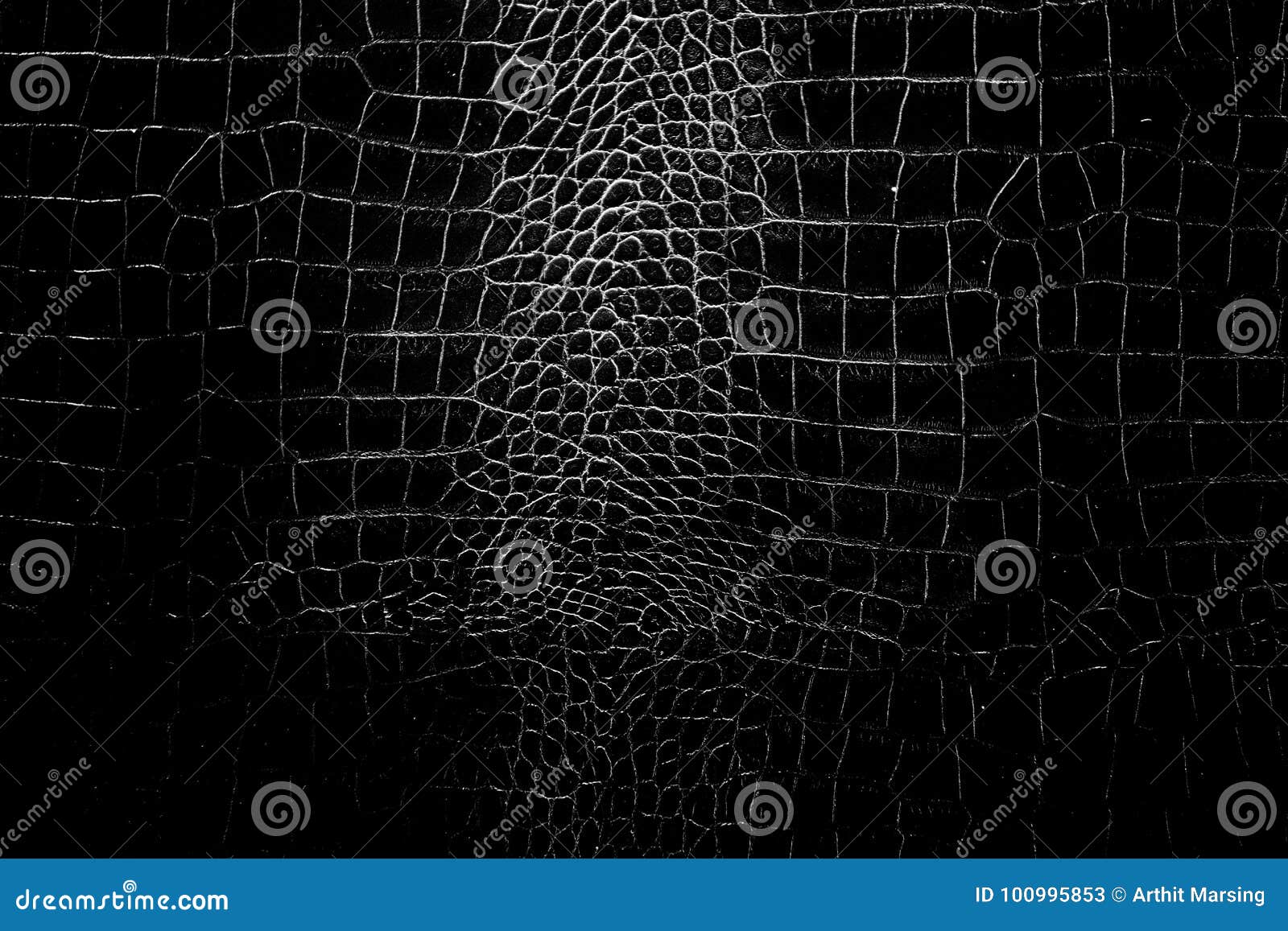 black and white color texture pattern abstract background can be use as wall paper screen saver brochure cover page or for present