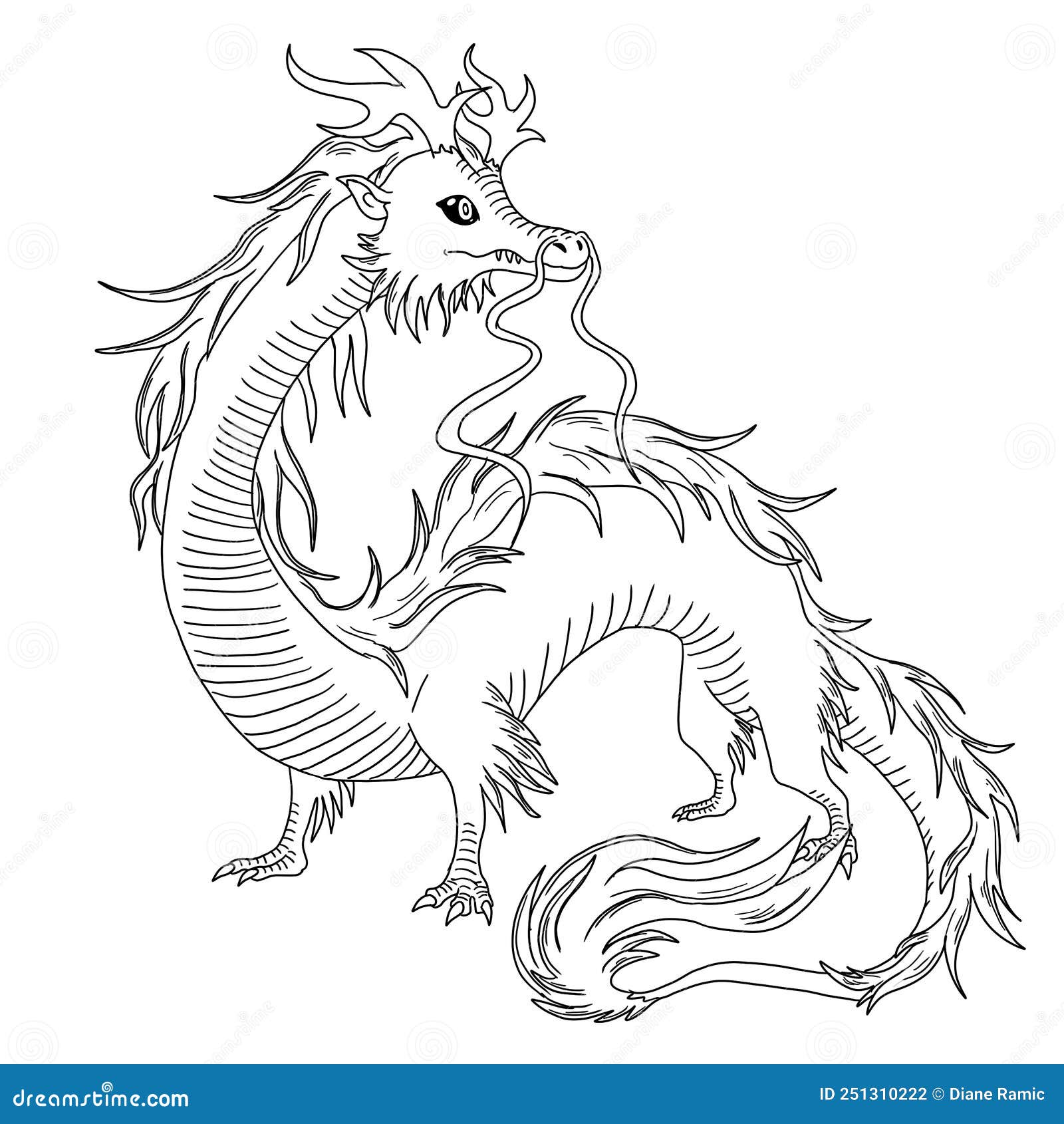 Black and White Coloring Page Ink Illustration of a Dragon Stock