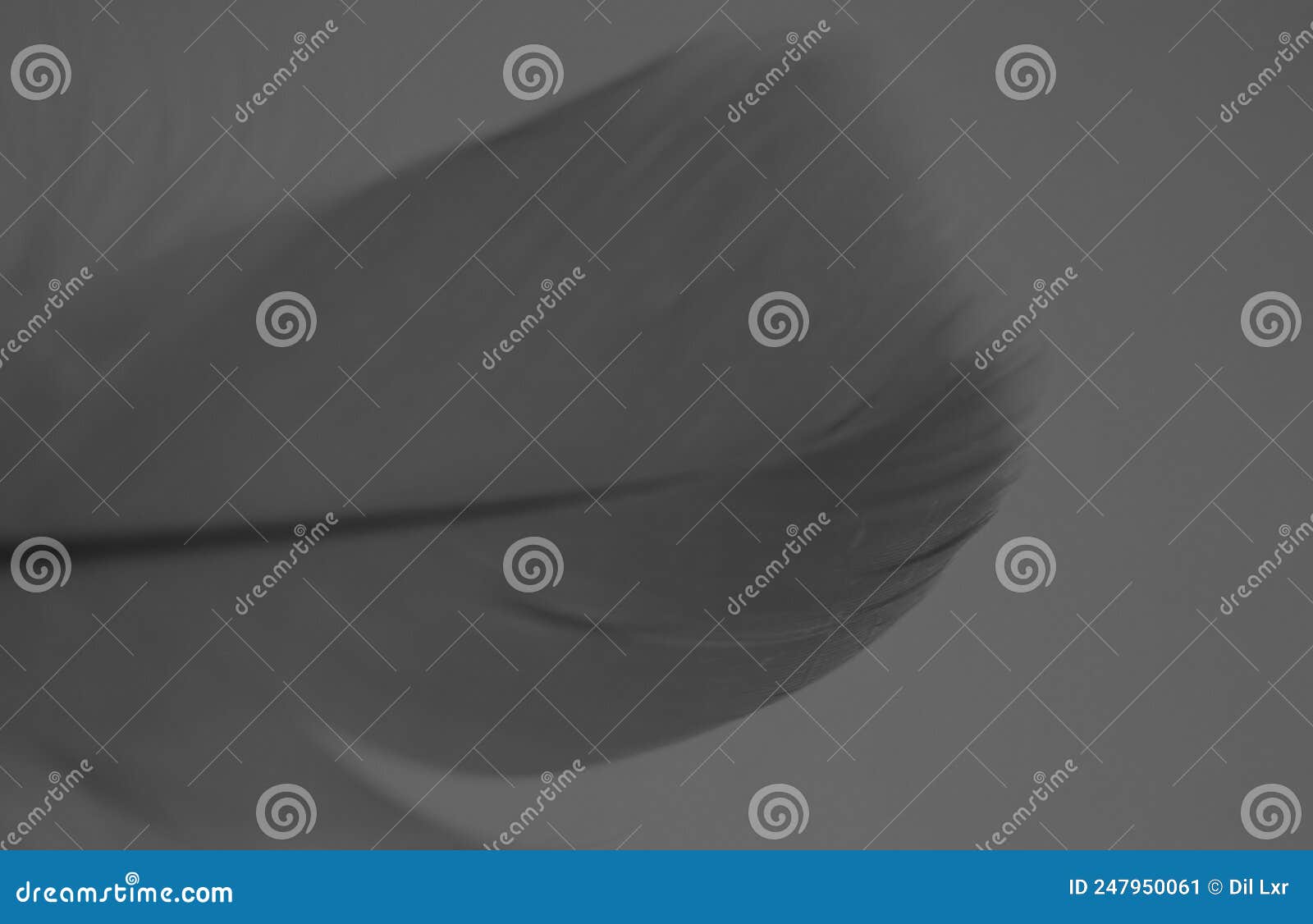 Black and White Colour Abstract Background Stock Image Image of light, black 247950061