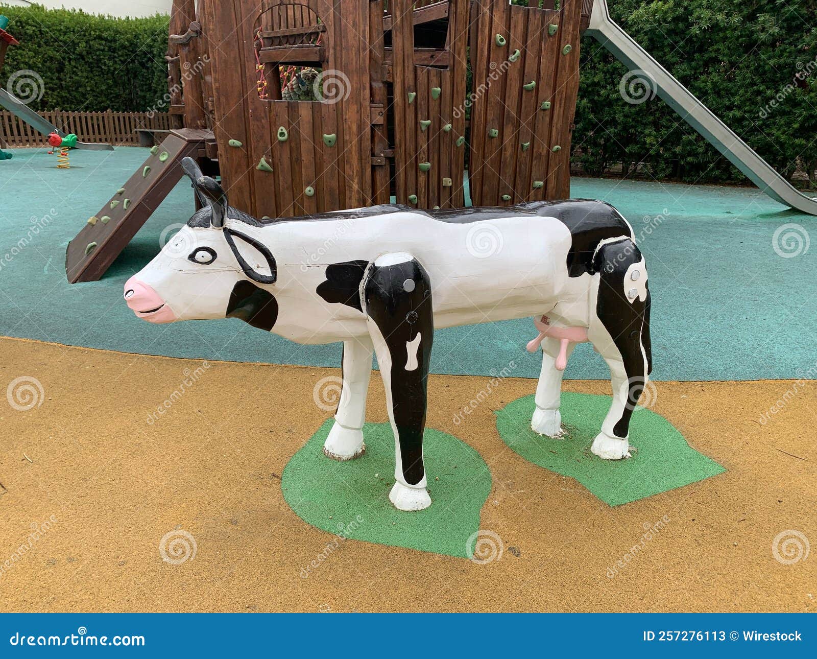 Black and White Cow Equipment at the Playground Stock Image Image of