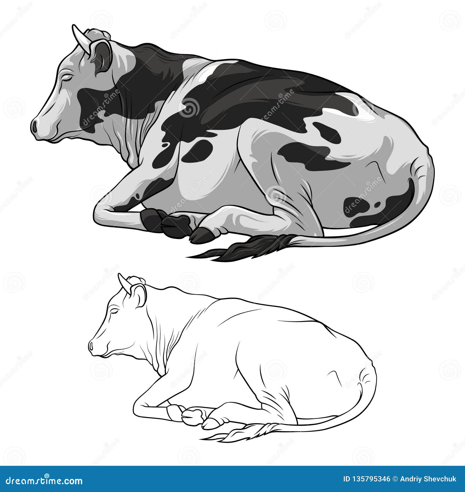 Lying Cow Cattle Set Stock Image 85041571