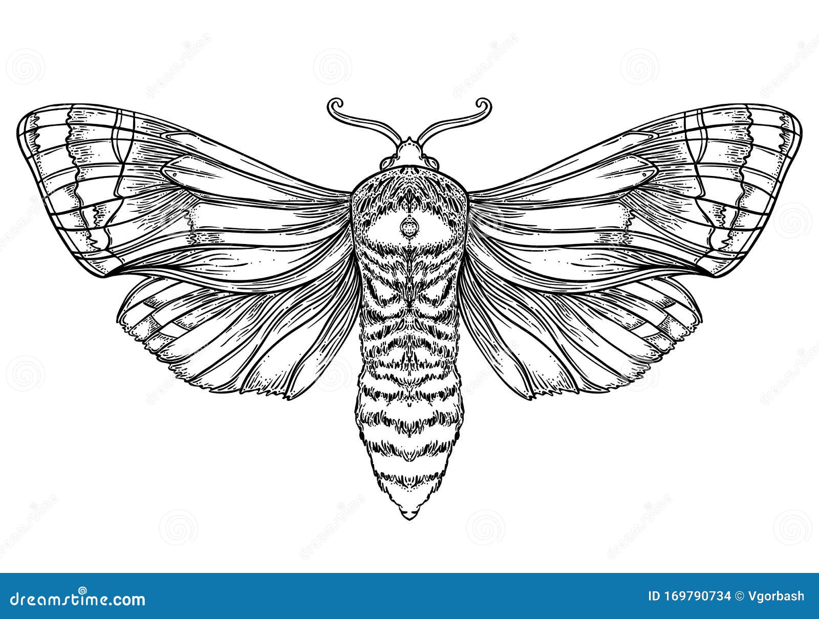 Black Moth Tattoo